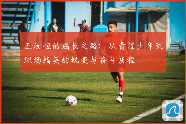 王汝恒的成长之路：从青涩少年到职场精英的蜕变与奋斗历程